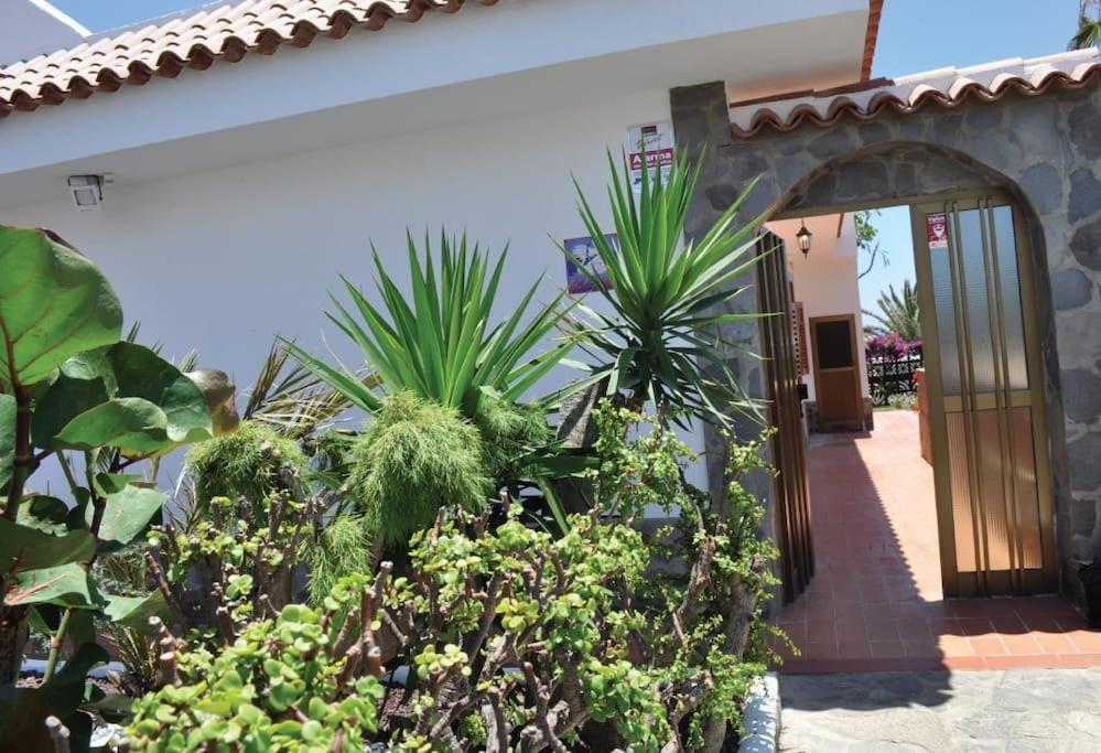 Los Cisnes Encantadora Casa Con Jardin Y Estudio Vista Al Mar El Médano Esterno foto