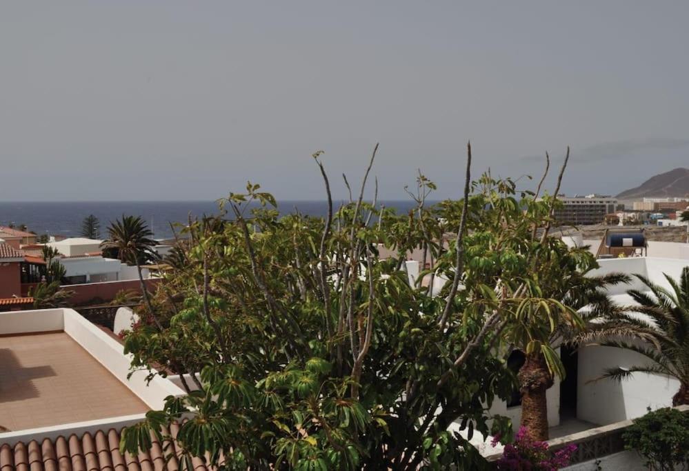 Los Cisnes Encantadora Casa Con Jardin Y Estudio Vista Al Mar El Médano Esterno foto